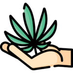 Dedicated Cannabis Sales Team